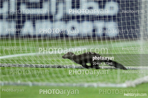 استقلال 1-العین امارات 0 -96/03/01-