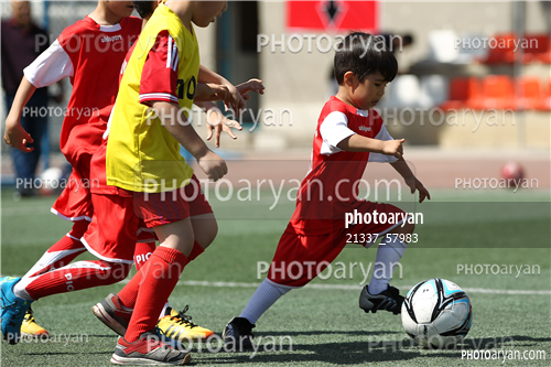 جلسه تمرینی اکادمی پیوس در تاریخ 96/03/19-سیدآریا بزرگواری,