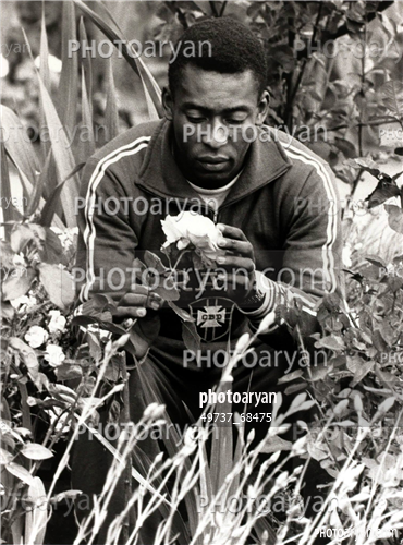 پله (Pelé)-پله,pele,Edson Arantes do Nascimento,Pelé,